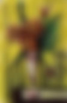Bouquet dans un Mazagran (preview)