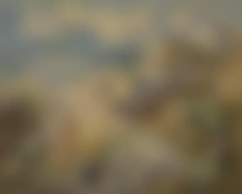 In the Dunes (preview)