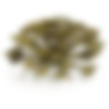 Untitled (preview)