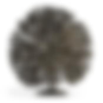 Bush (preview)