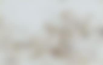 View of Ludlow Mill (preview)