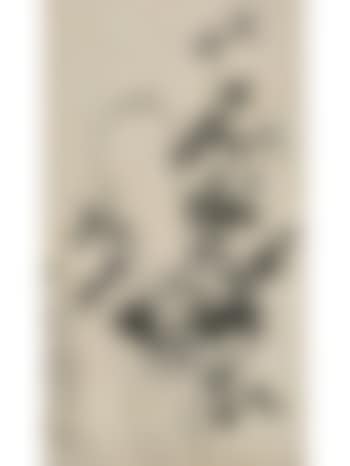 Bamboo and rock (preview)