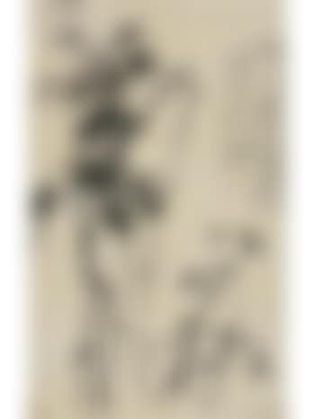 Bamboo and rock (preview)