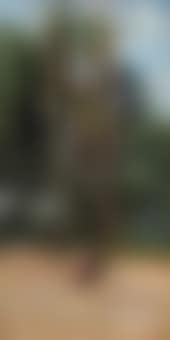 A couple on a bench (preview)