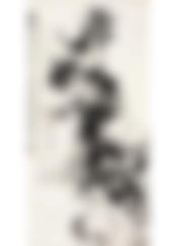 Bamboo and rock (preview)