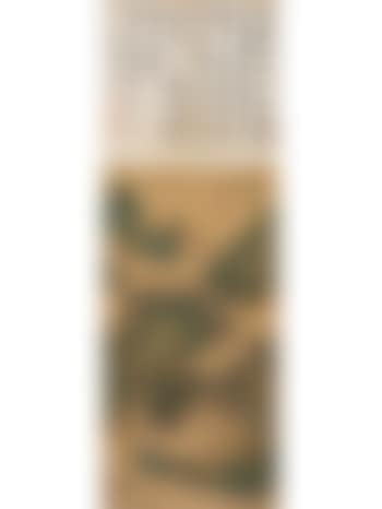 Appreciating the waterfall in the spring mountain - calligraphy by Zhang Peidun (preview)