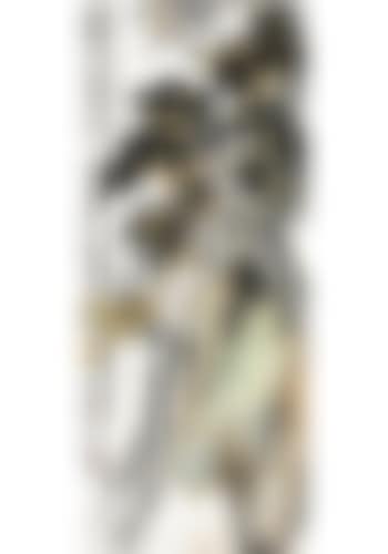 Osmanthus (preview)