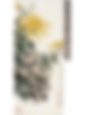 Blooming chrysanthemum (preview)