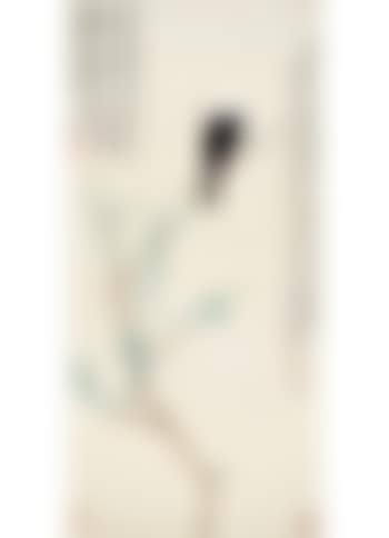 Peach flowers and bird (preview)