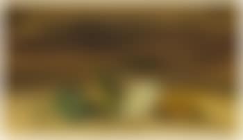 Nature morte aux fruits (preview)