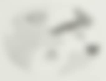 Study for Great American Nude (preview)