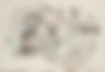 Quelques animaux (preview)