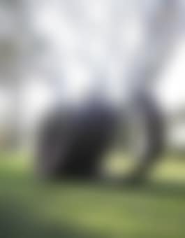 209.5 Arc x 14 (preview)