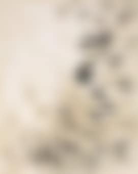 With Winds (preview)