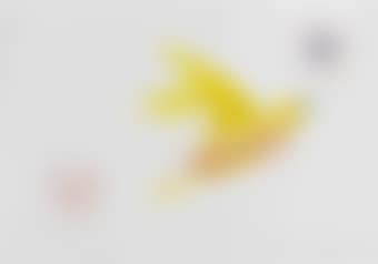 Bird and Stars (preview)
