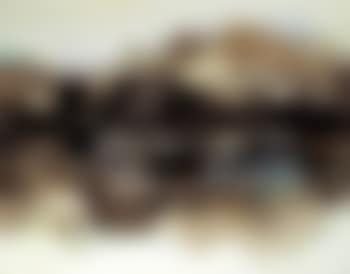 Composition no. 190 (preview)