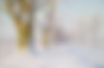 A sunny winter's day (preview)