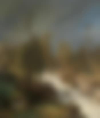 Waterfall in the mountains, left a bear (preview)