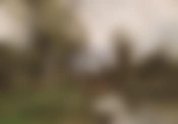 Angler by the stream (preview)
