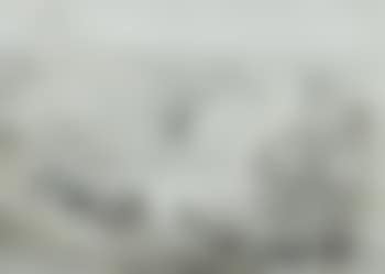 View of a lake surrounded by woodland (preview)
