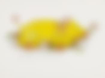 Piglet (preview)