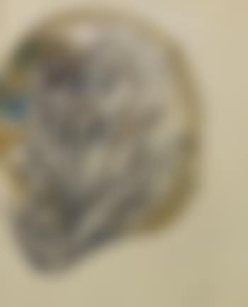 Number 21 (preview)