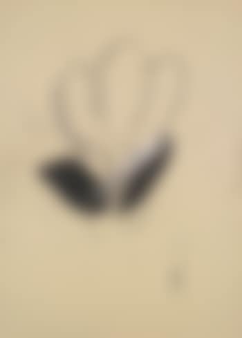 Dark Plants, 4 (preview)