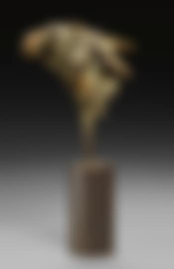 Insecte (preview)