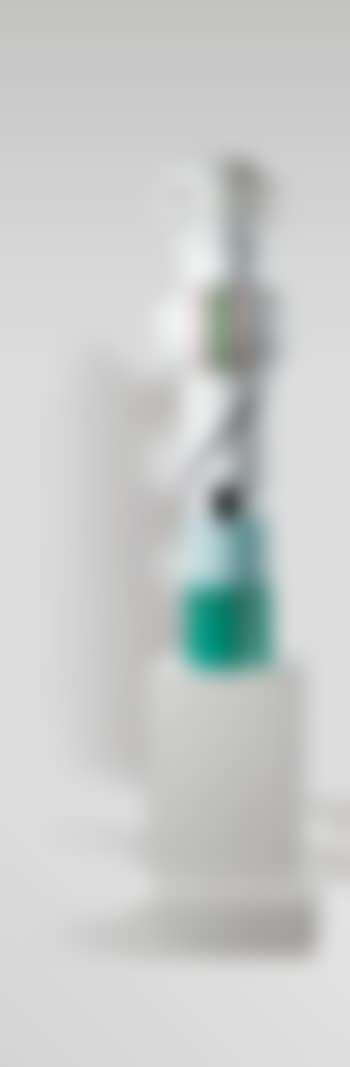 Totem Rangoon (preview)