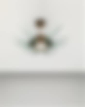 Rare chandelier (preview)