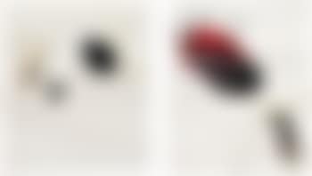 Two Works: i) Untitled (so fucking what); ii) Untitled (so you left one) (preview)