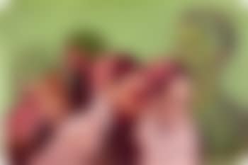 h.d-p (preview)