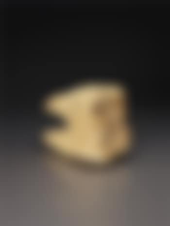 Wooden Tooth (preview)