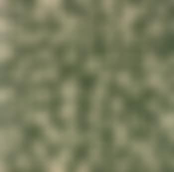 Monogramouflage (preview)