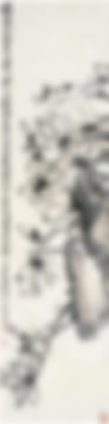 Magnolia conspicua (preview)