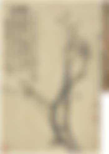 Ink plum blossoms (preview)