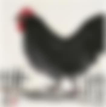 Cock (preview)
