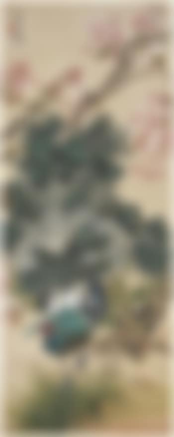 A peacock in his pride (preview)