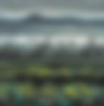 Geese flying over the lotus pond (preview)