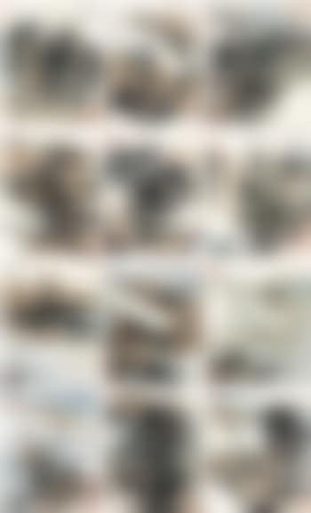 Landscape (preview)