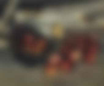 Apples in the Barn (preview)