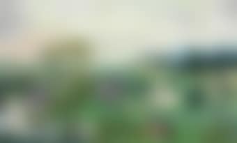 Landscape with a Mill (preview)