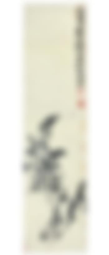 Orchid (preview)