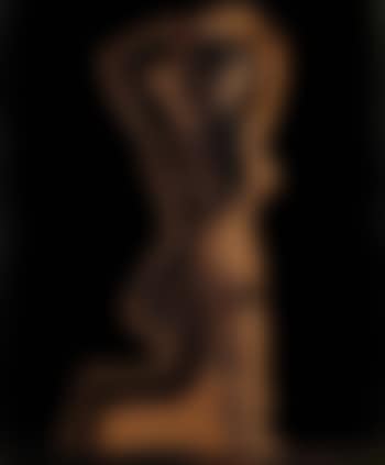 Grand Nu de Femme (preview)