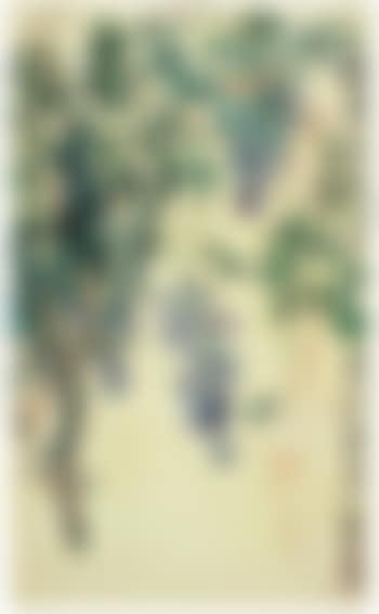 Wisteria (preview)