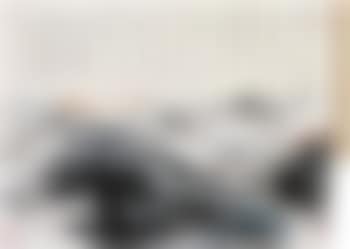 Landscape in the snow (preview)