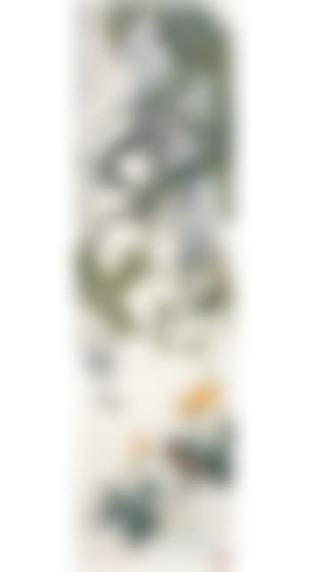 Bird under the wistaria (preview)