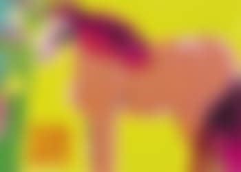 Little horse (preview)