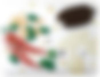 Still life (preview)