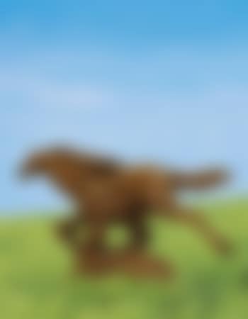 Horse (preview)